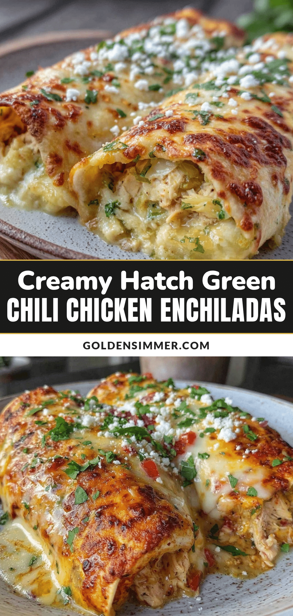 creamy hatch green chili chicken enchiladas recipe