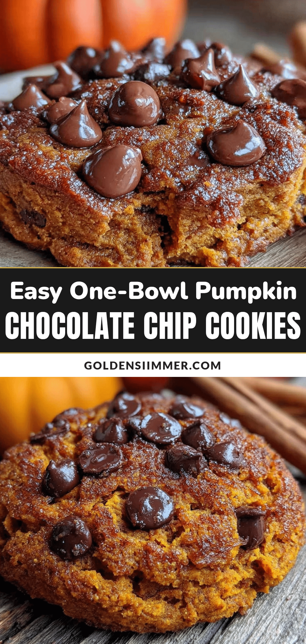 pumpkin chocolate chip cookies recipe
