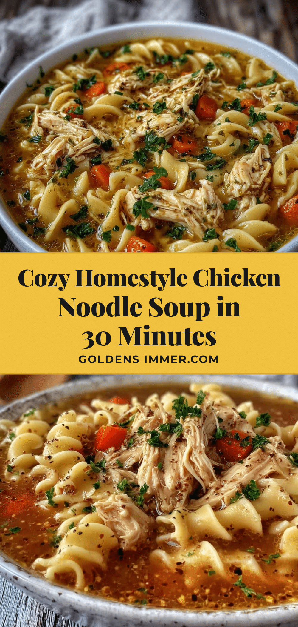 cozy homestyle chicken noodle soup recipe